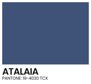 ELÁSTICO - COR - ATALAIA - PANTONE 19-4030 TCX