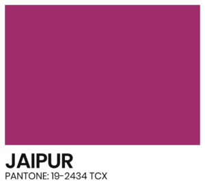 ELÁSTICO - COR - JAIPUR - PANTONE 19-2434 TCX