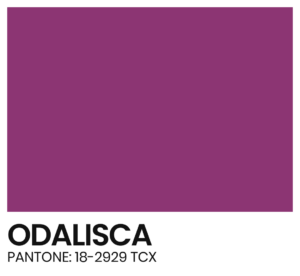 ELÁSTICO - COR - ODALISCA - PANTONE 18-2929 TCX