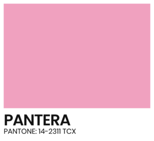 ELÁSTICO - COR - PANTERA - PANTONE 14-2311 TCX