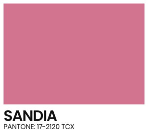 ELÁSTICO - COR - SANDIA - PANTONE 17-2120 TCX