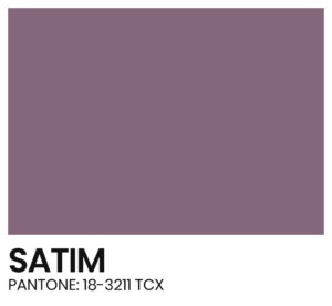 ELÁSTICO - COR - SATIM - PANTONE 18-3211 TCX