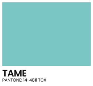 ELÁSTICO - COR - TAME - PANTONE 14-4811 TCX