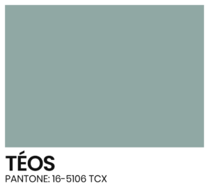 ELÁSTICO - COR - TEOS - PANTONE 16-5106 TCX