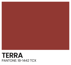 ELÁSTICO - COR - TERRA - PANTONE 18-1442 TCX