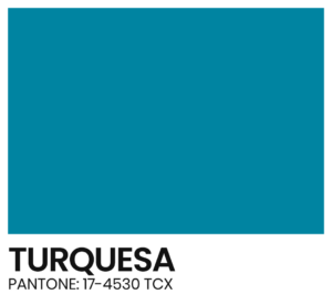 ELÁSTICO - COR - TURQUESA- PANTONE 17-4530 TCX