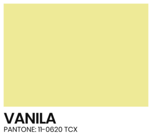 ELÁSTICO - COR - VANILA - PANTONE 11-0620 TCX